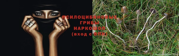 jwh Абаза