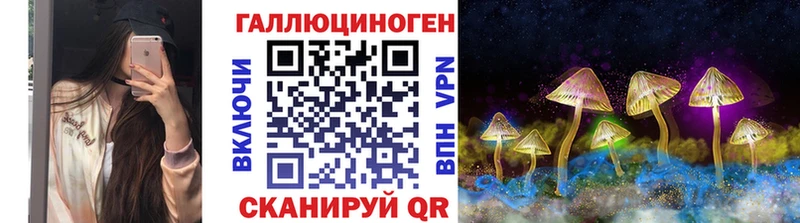 hydra рабочий сайт  продажа наркотиков  Абинск  Галлюциногенные грибы Psilocybine cubensis 